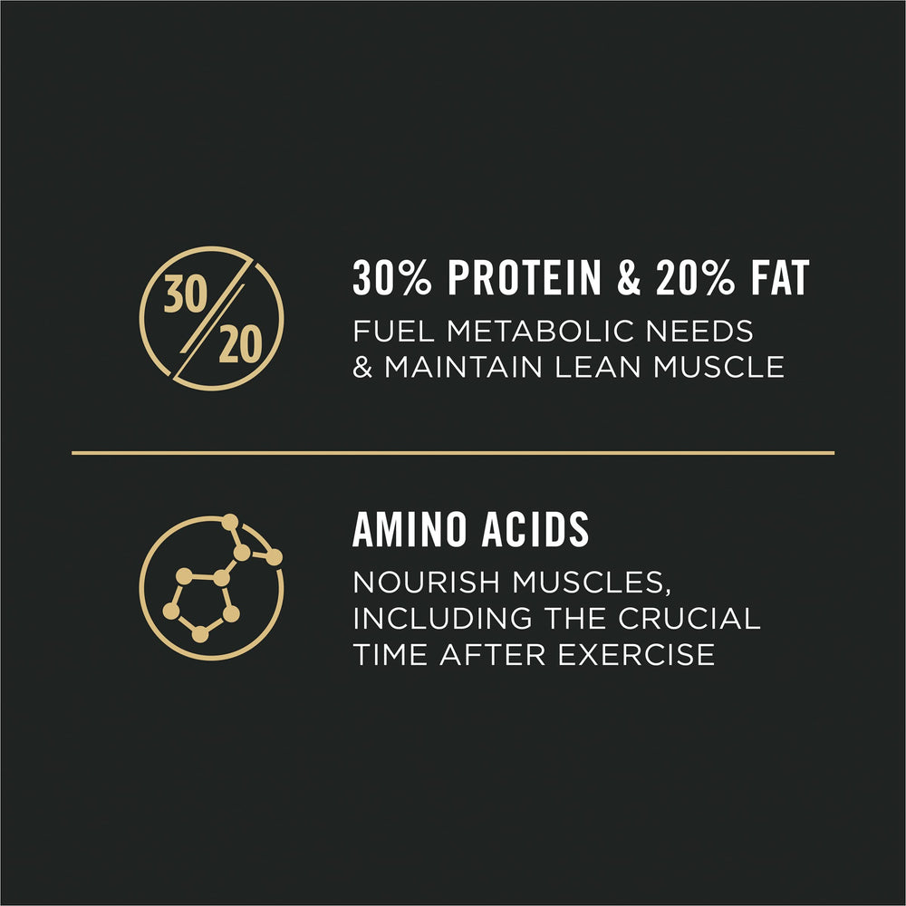 Purina Pro Plan Sport Performance 30/20 kibble close-up, high-protein bites.