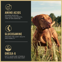 Purina Pro Plan Sport Performance 3020 live-probiotics support digestion and immune health.