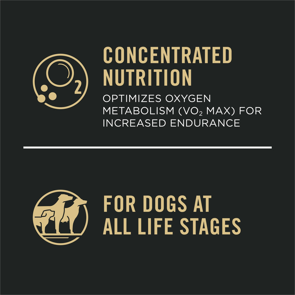 Purina Pro Plan Sport Performance 30/20, close-up meal for athletic dogs.