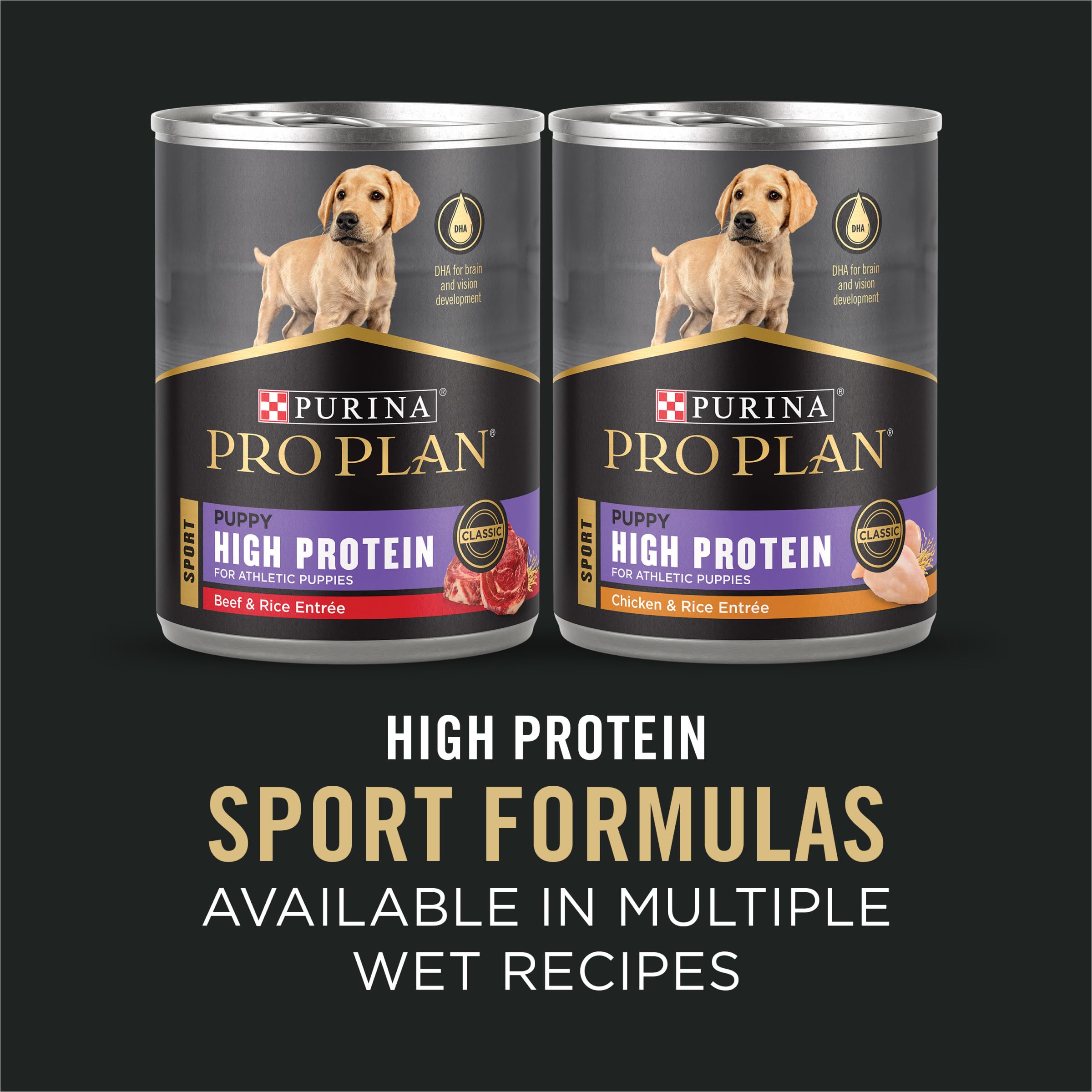 Purina Pro Plan Sport outdoor playtime with energetic puppy.