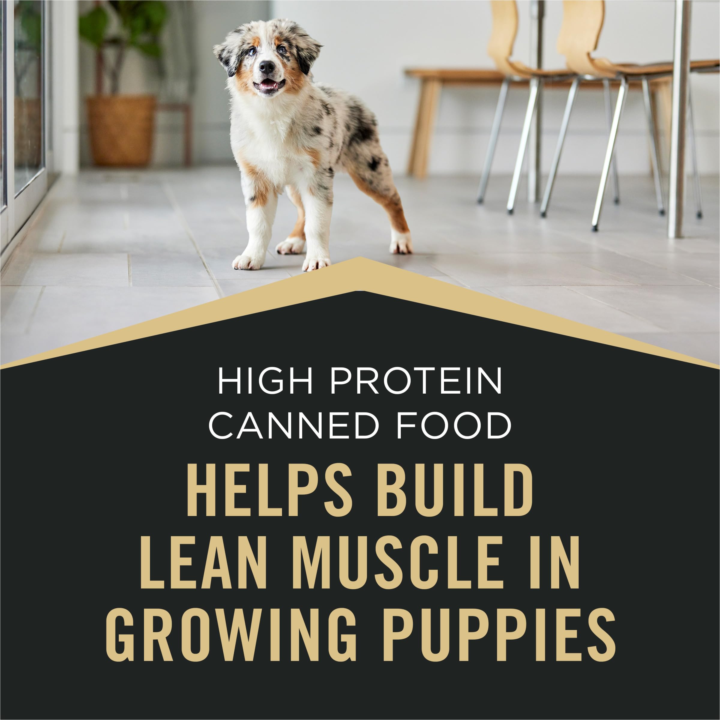 Purina Pro Plan Sport puppy meals in a feeding bowl for easy serving