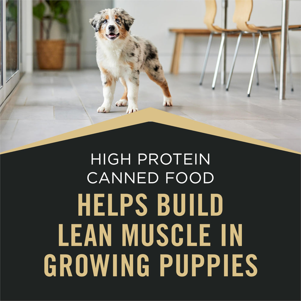 Purina Pro Plan Sport puppy can contains no artificial colors, flavors, or preservatives.