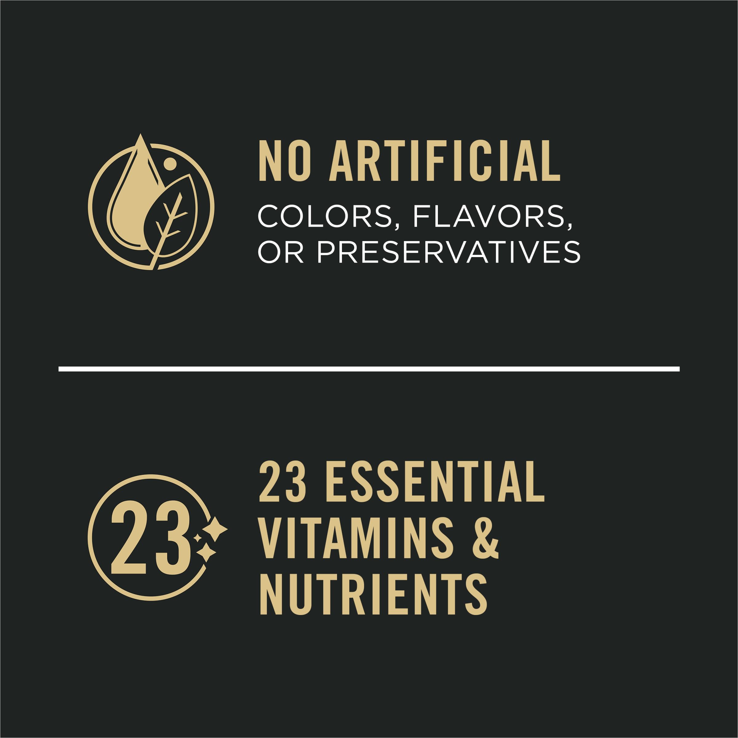 Purina Pro Plan Sport serving bowl beside your active canine.