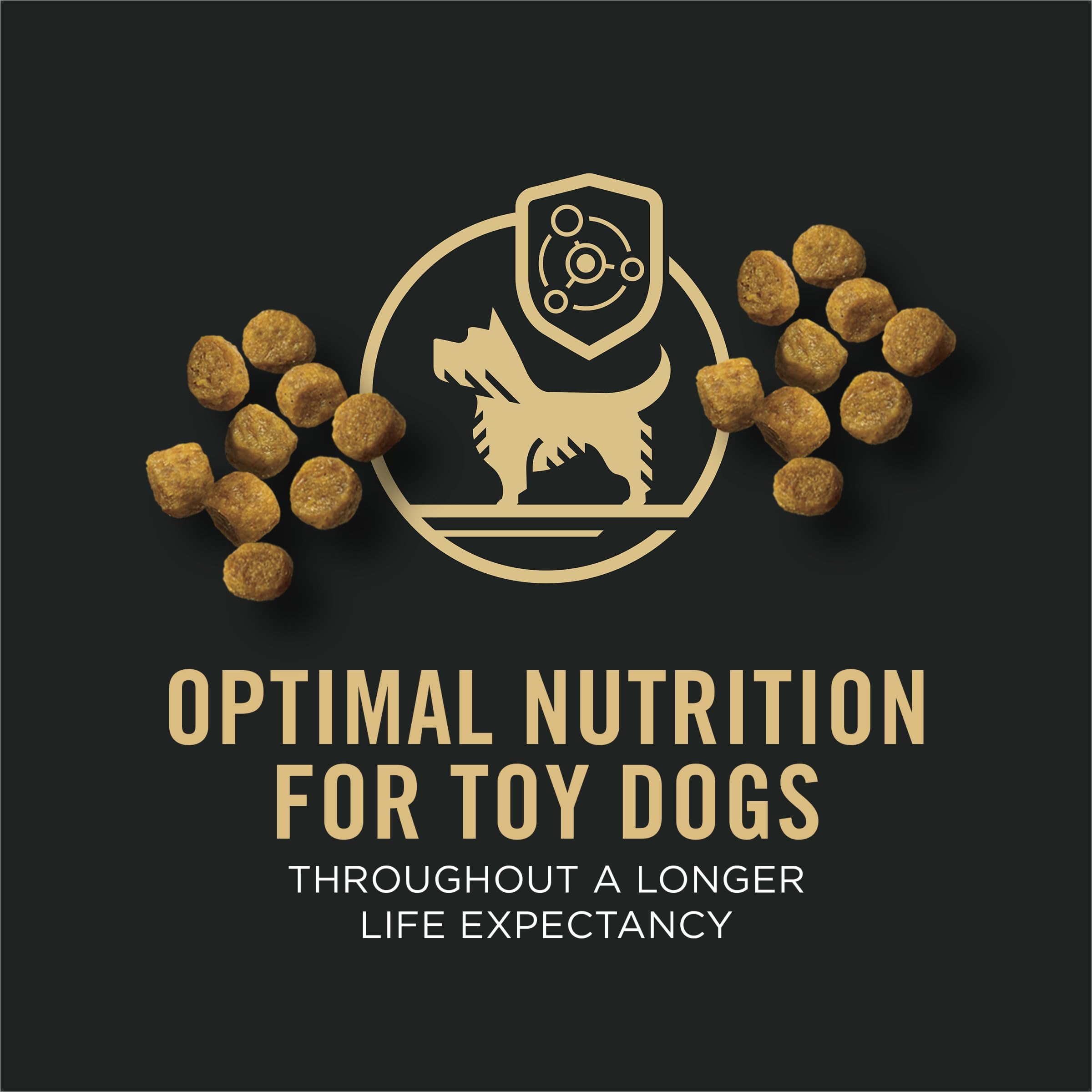 Purina Pro Plan Toy Breed dog meal bowl ready for daily feeding