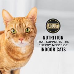 Purina Pro Plan turkey-first-ingredient kibble close-up shows real turkey as the primary protein for indoor cats.