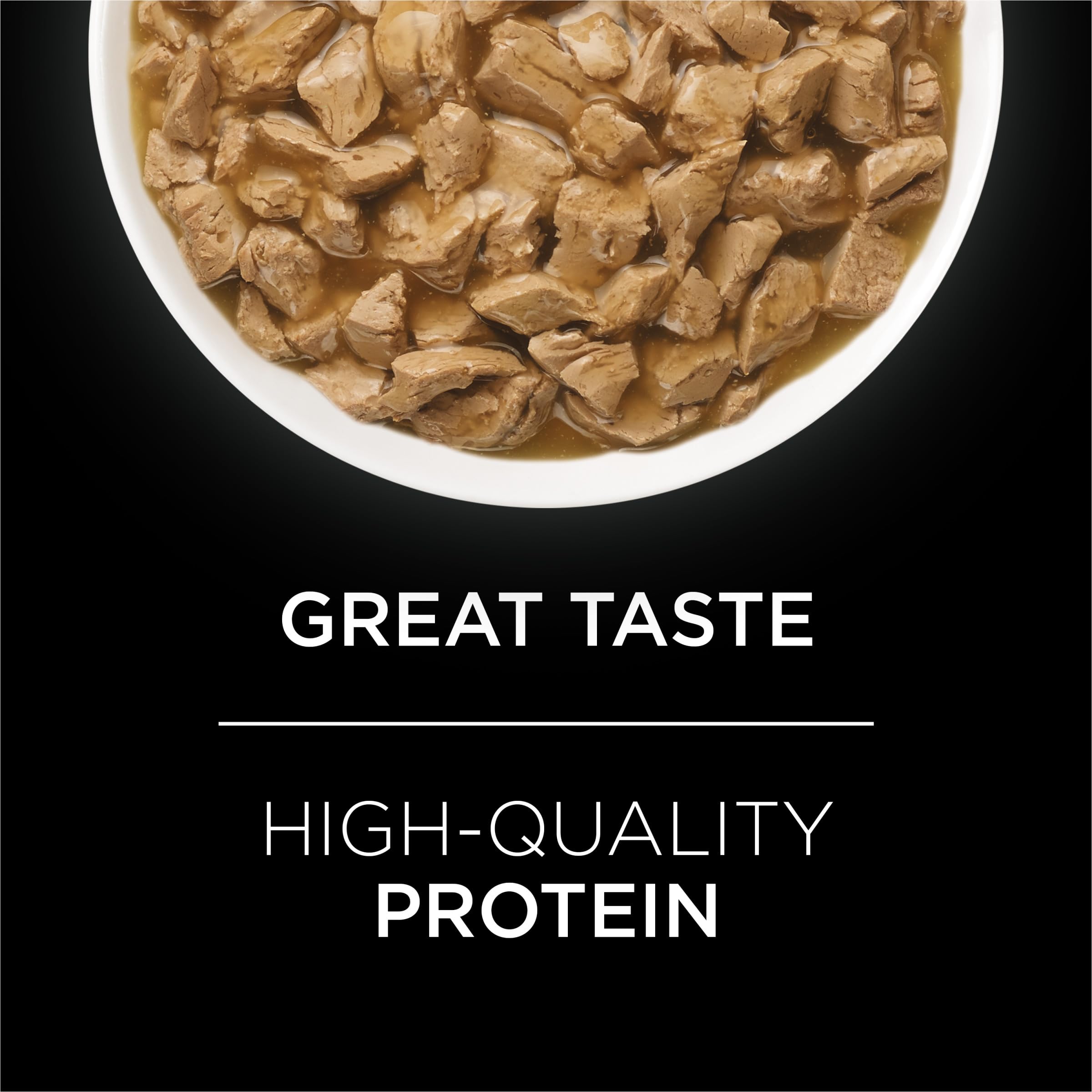 Purina Pro Plan UR urinary salmon recipe in sauce can close-up showcases appealing mealtime.