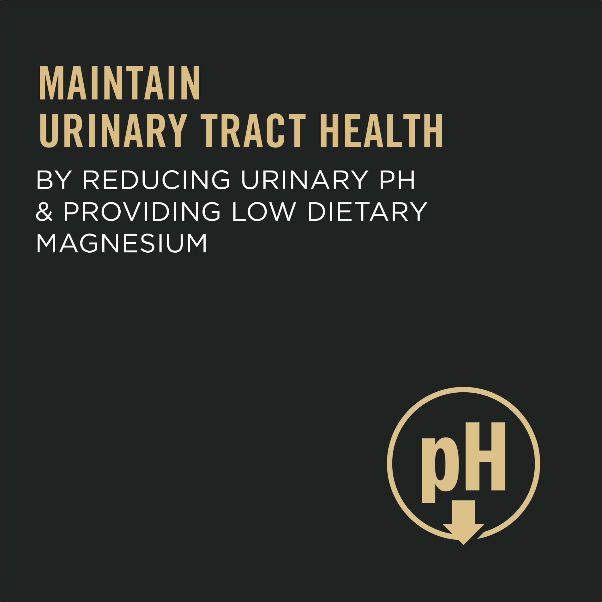 Purina Pro Plan Urinary Tract serving bowl shows kibble texture for palatable meals.