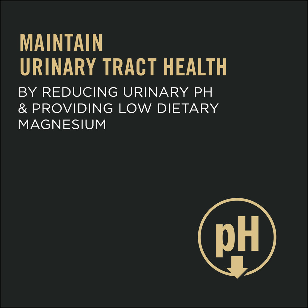 Purina Pro Plan Urinary Tract Cat Food kibble close up highlights real chicken ingredients.