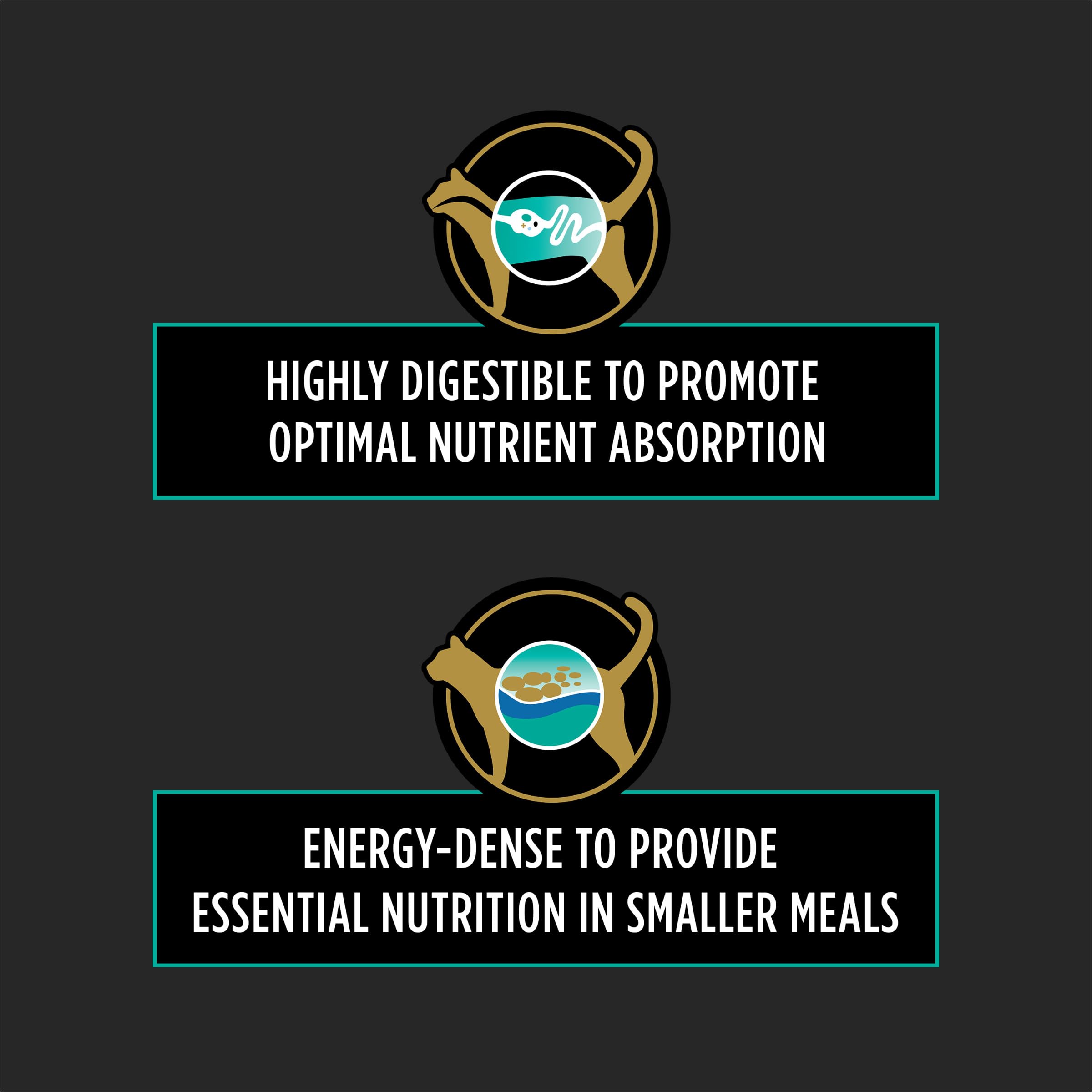 Purina Pro Plan Vet Diets EN Gastroenteric kibble serving shows portion-friendly nutrition