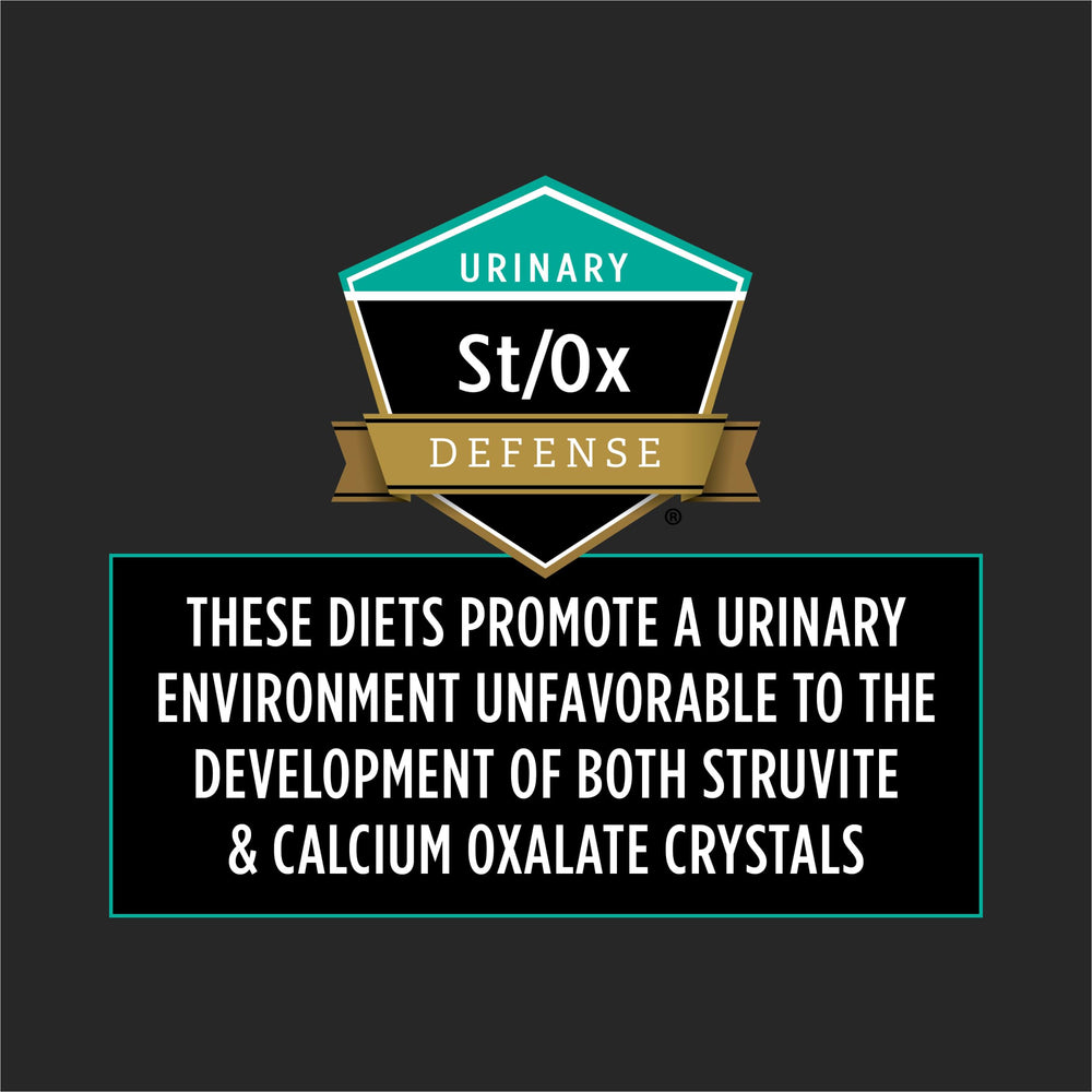 Purina Pro Plan Veterinary Diets EN Gastroenteric Feline Formula taste profile close-up for sensory appeal