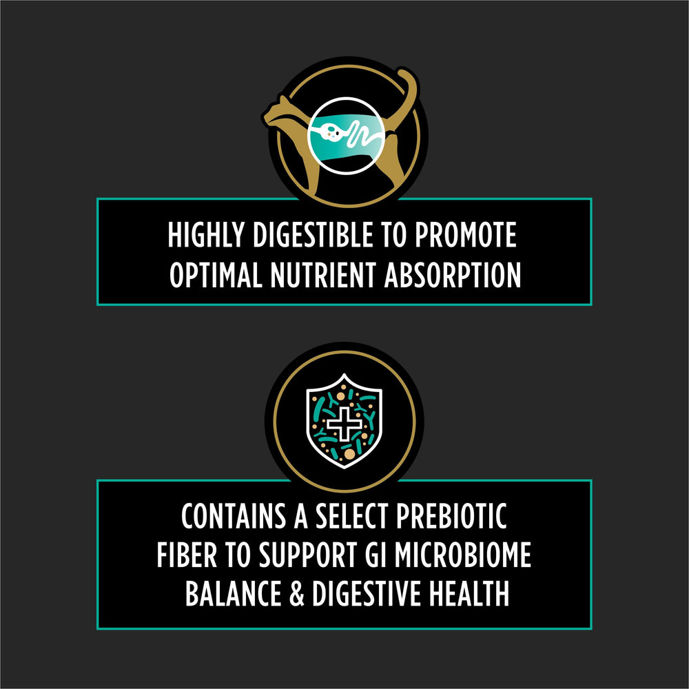 Purina Pro Plan Veterinary Diets EN Gastroenteric Feline Formula wet cat food in bowl for easy portioning