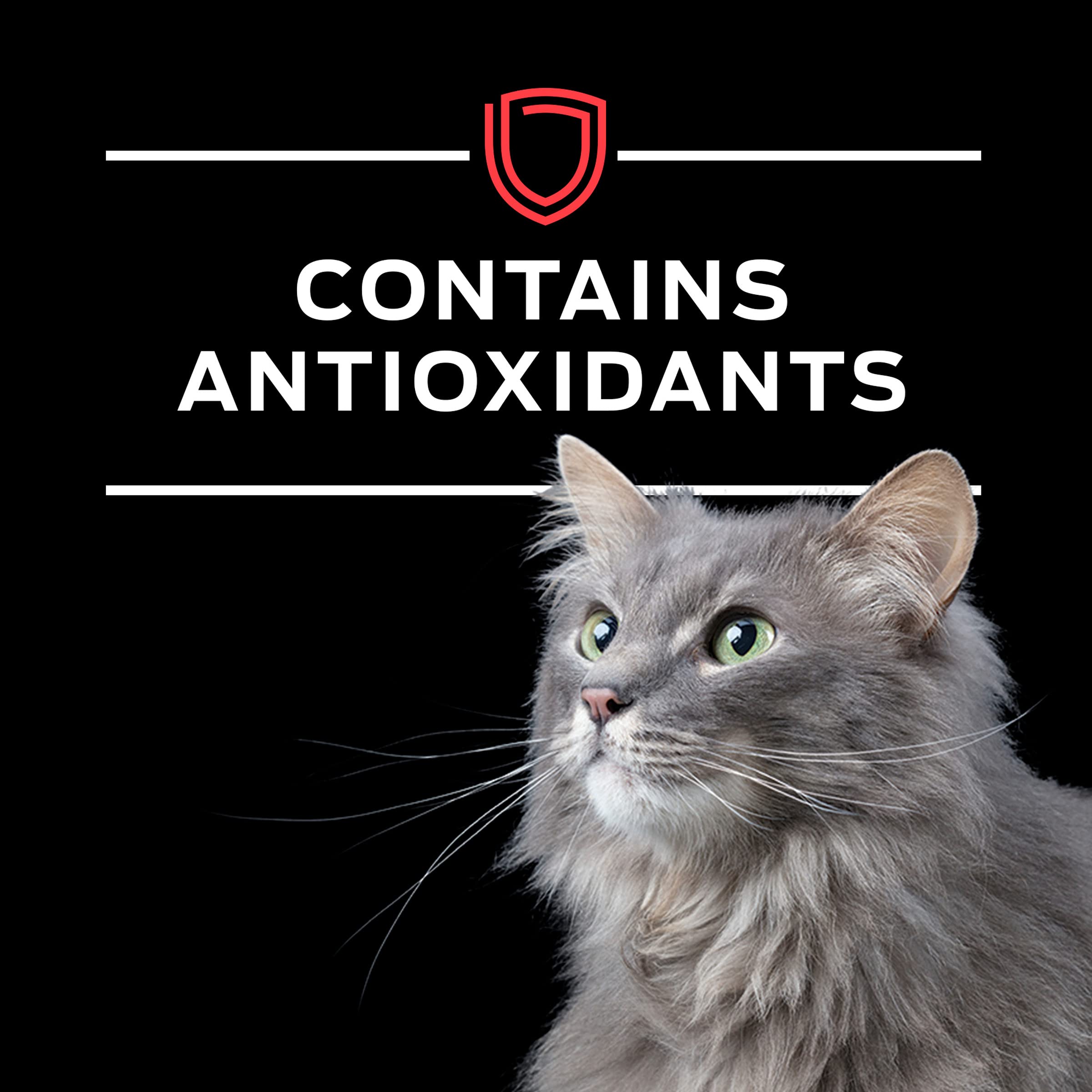Purina Pro Plan Veterinary Diets DM brand logo shot on clean background