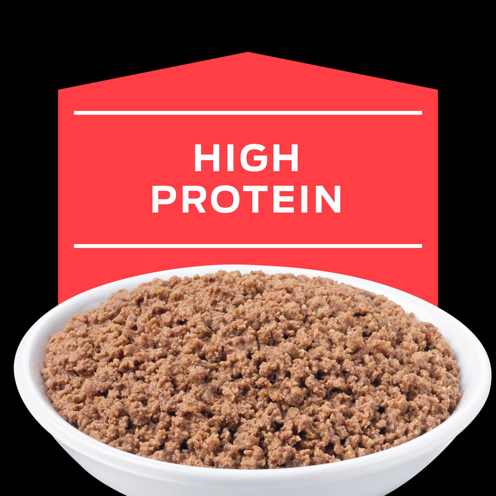 Purina Pro Plan Veterinary Diets DM serving bowl prepared for mealtime