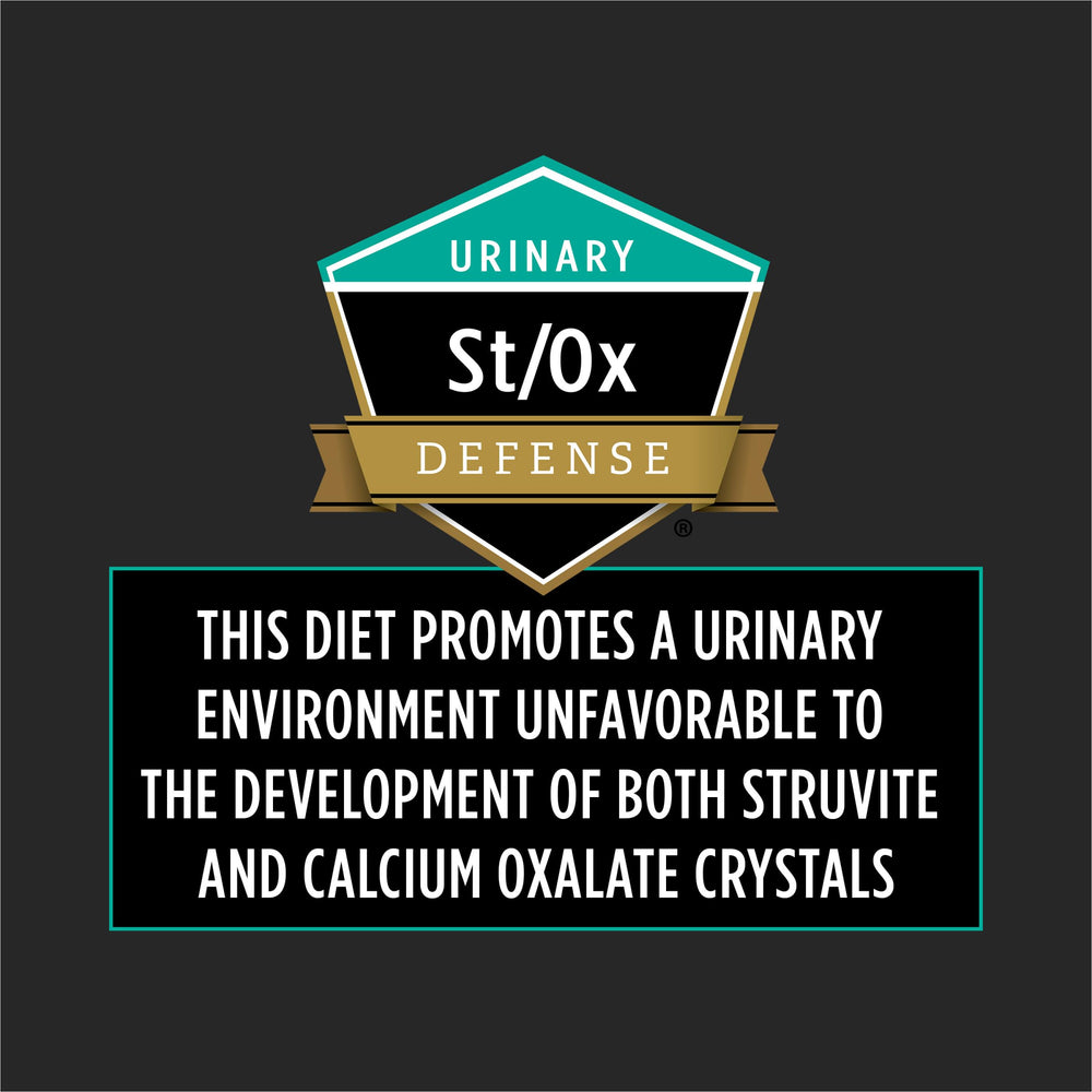 Purina Pro Plan Veterinary Diets EN kibble in bowl for GI-focused feeding