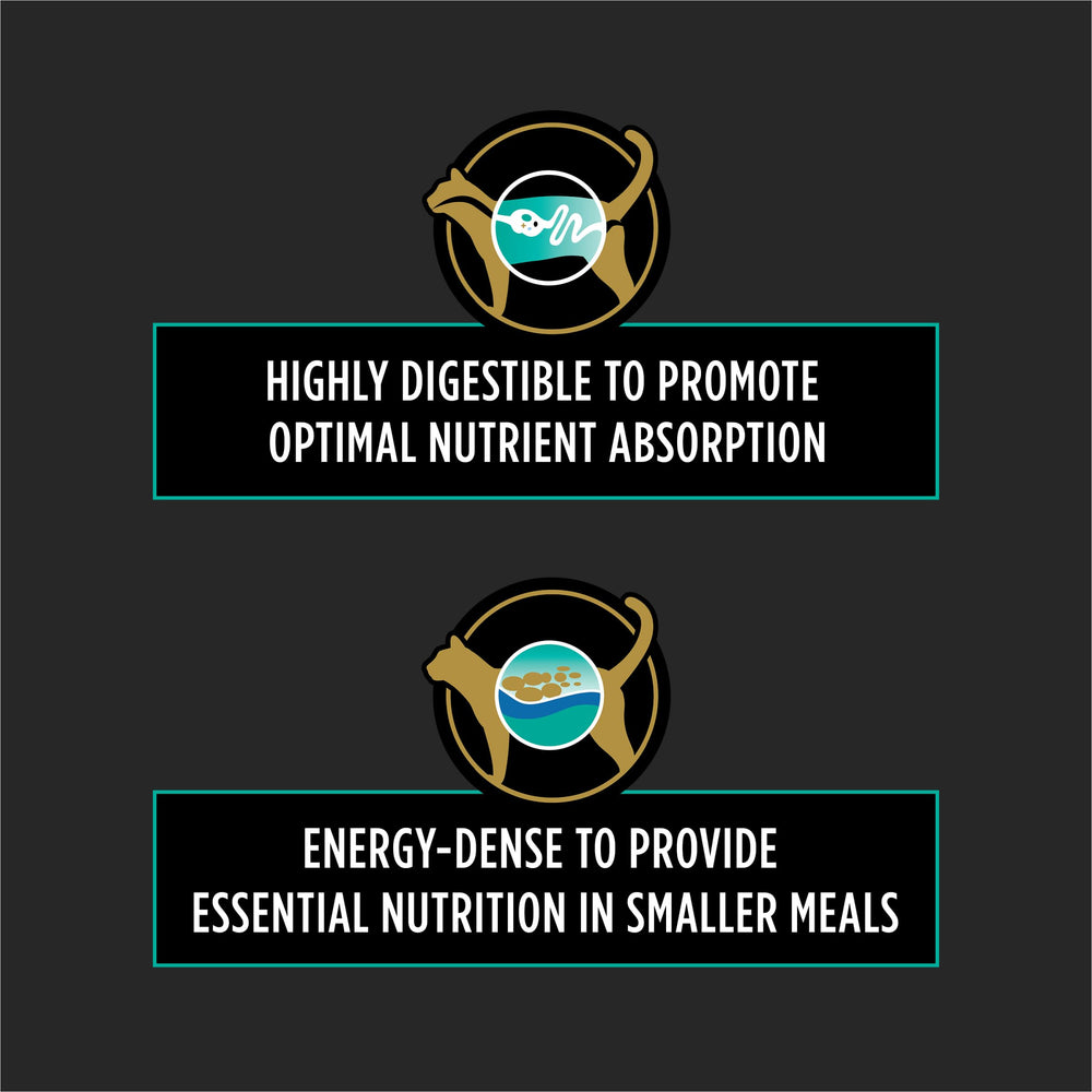 Purina Pro Plan EN Gastroenteric kibble close-up shows crunchy texture for meals