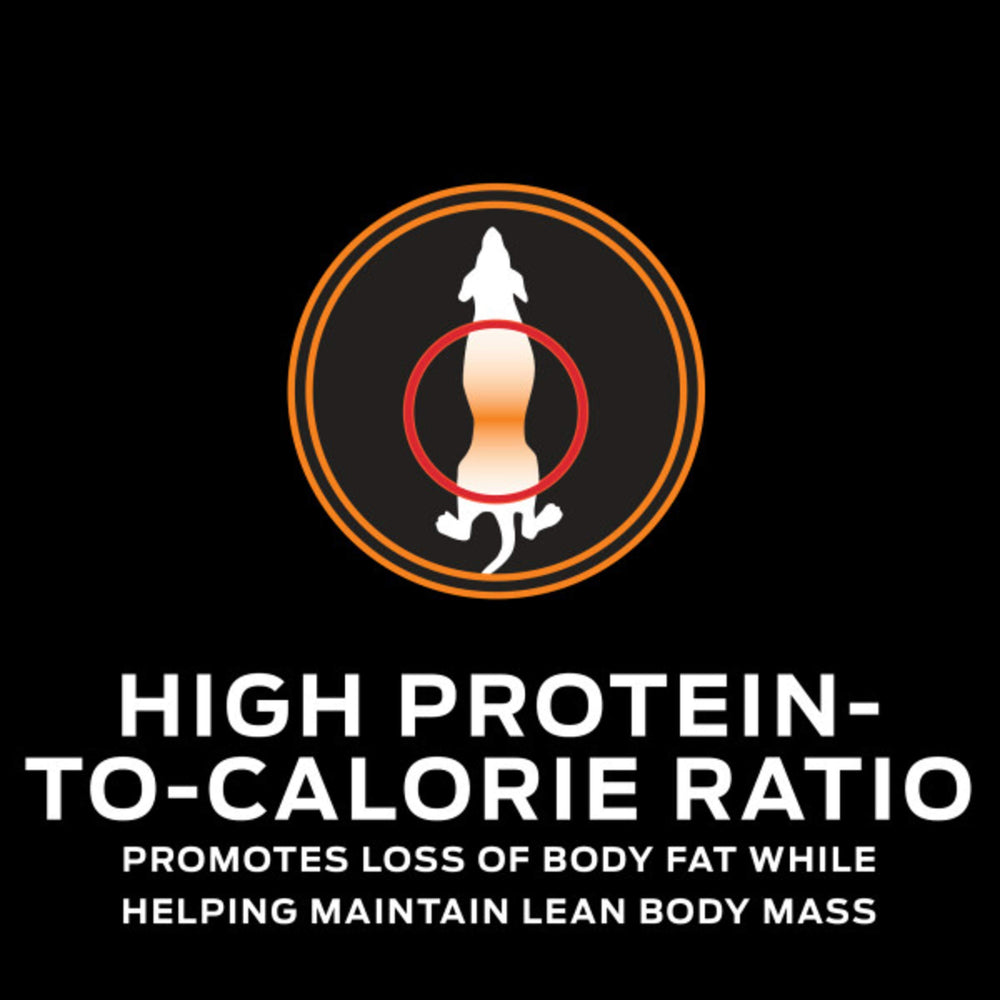 Serving in a bowl enhances mealtime routine for weight management