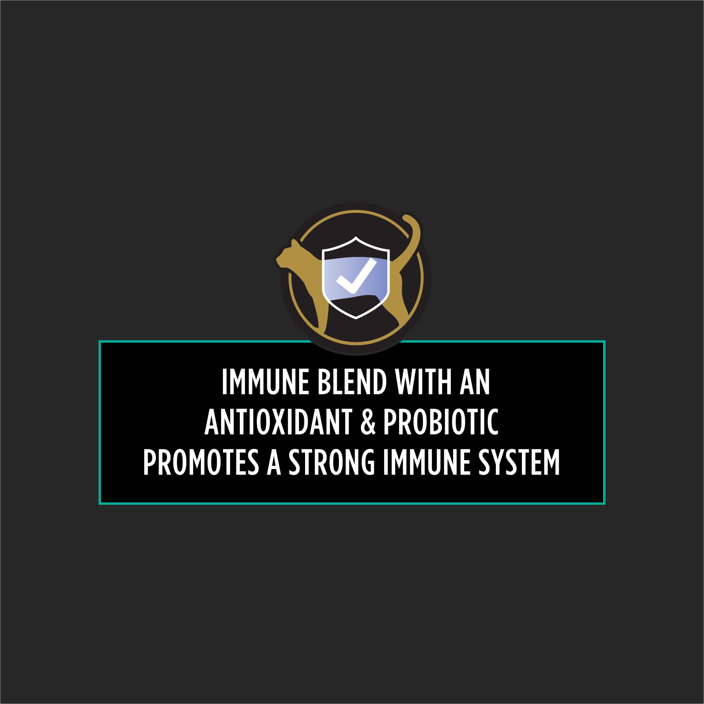 Powder dispensed into cat food from Purina Pro Plan Veterinary Multi Care.