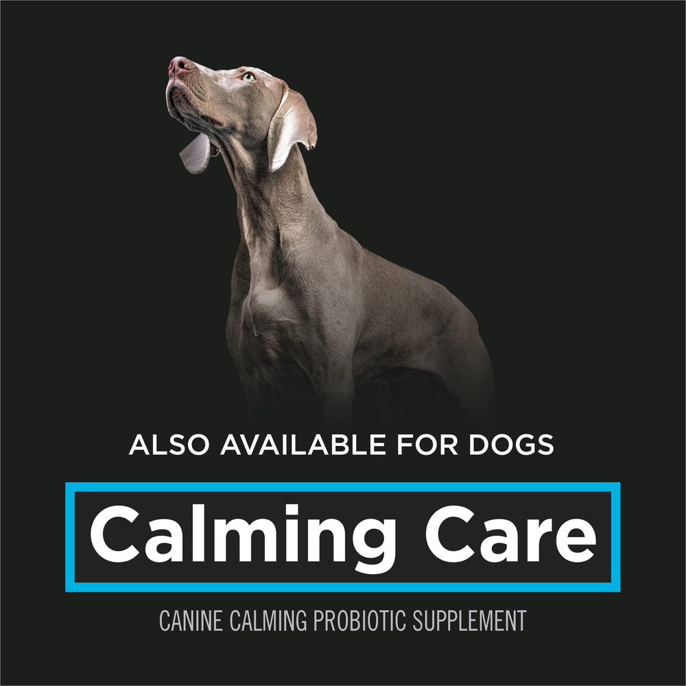 Calming Care supports stress management during routine changes