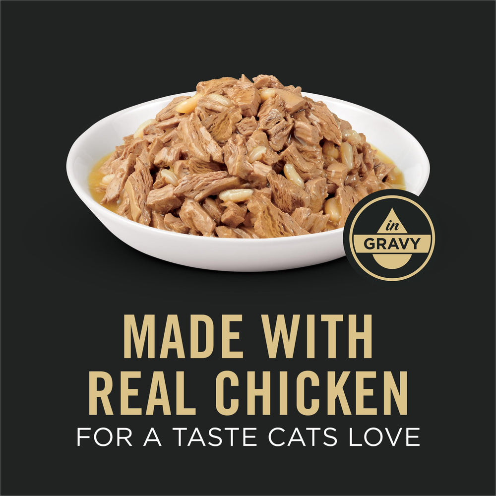 Purina Pro Plan weight management cat wet food with chicken and rice in gravy highlights high-protein formula