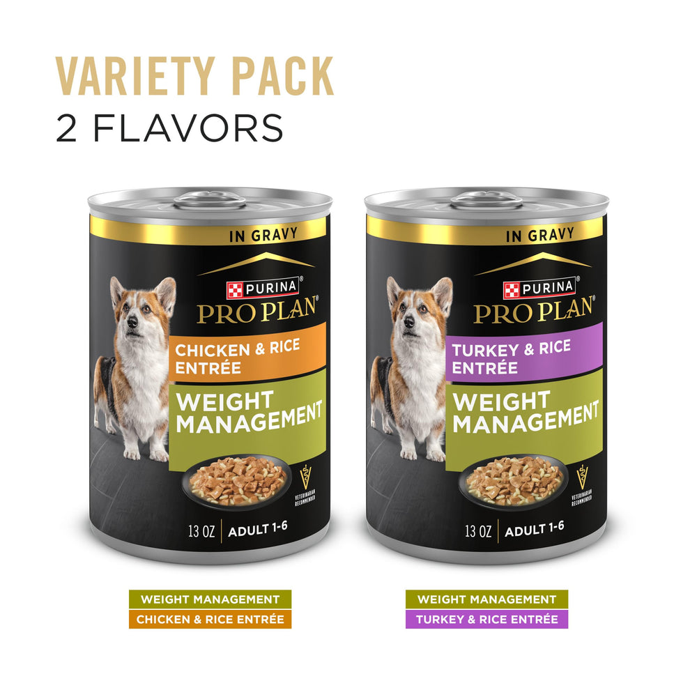 Purina Pro Plan Weight Management Turkey Rice Entree in Gravy serving bowl, appealing meal presentation.