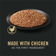 Purina Pro Plan puppy pate can with label visible.