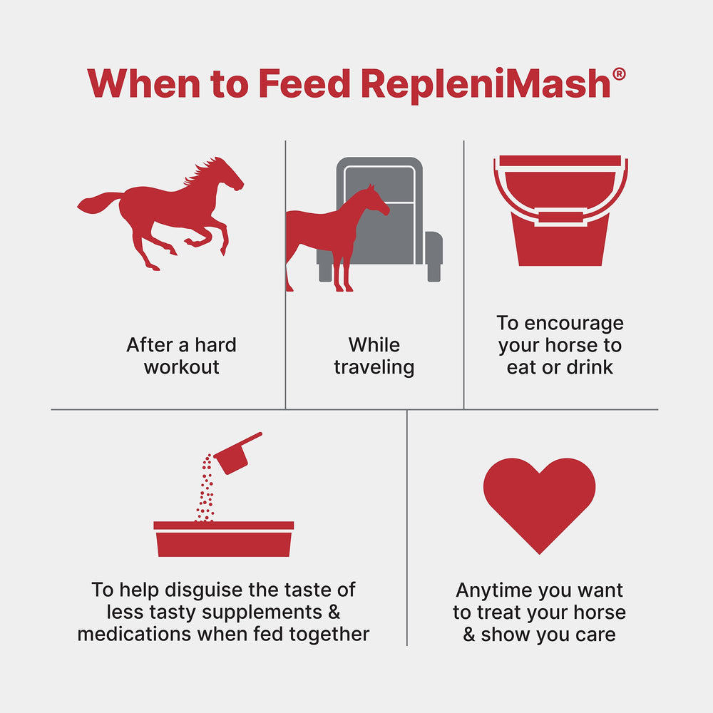 Purina RepleniMash horse-eating scene emphasizes palatability and acceptance