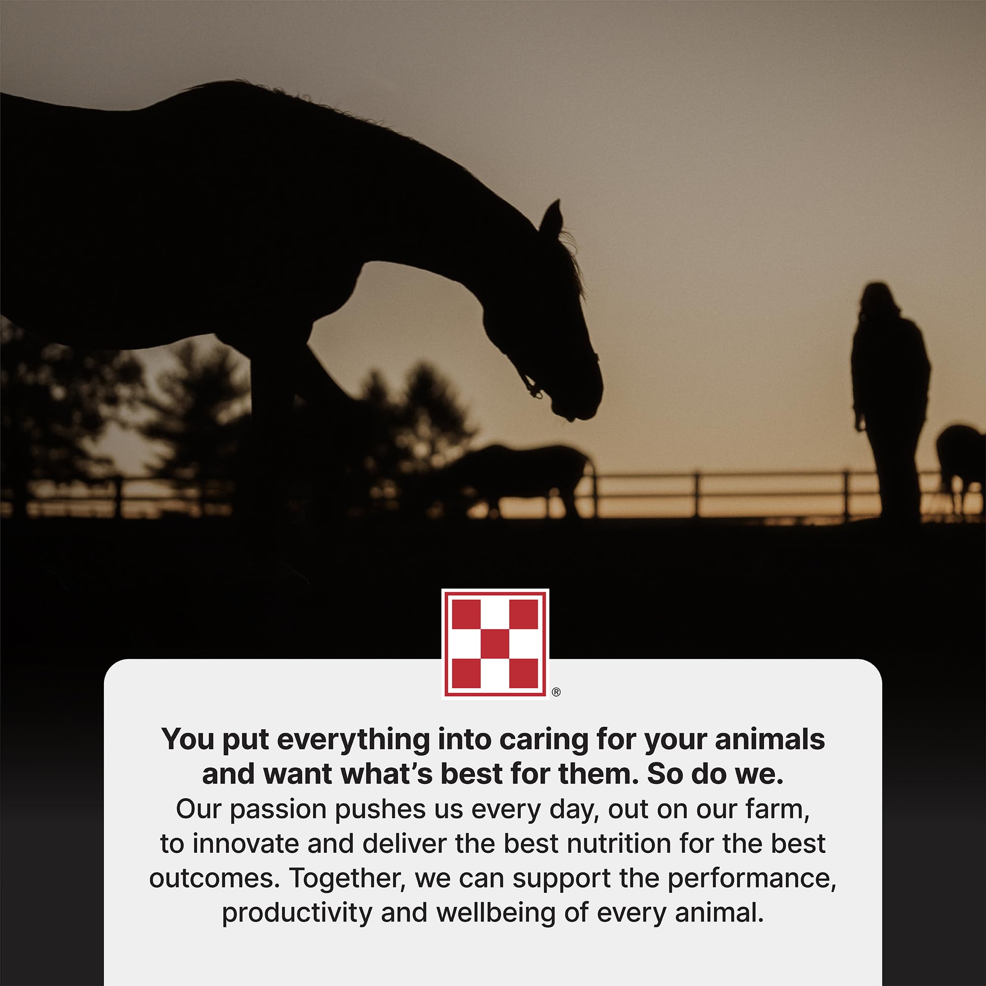 Purina RepleniMash hydration glass highlights electrolyte replenishment potential