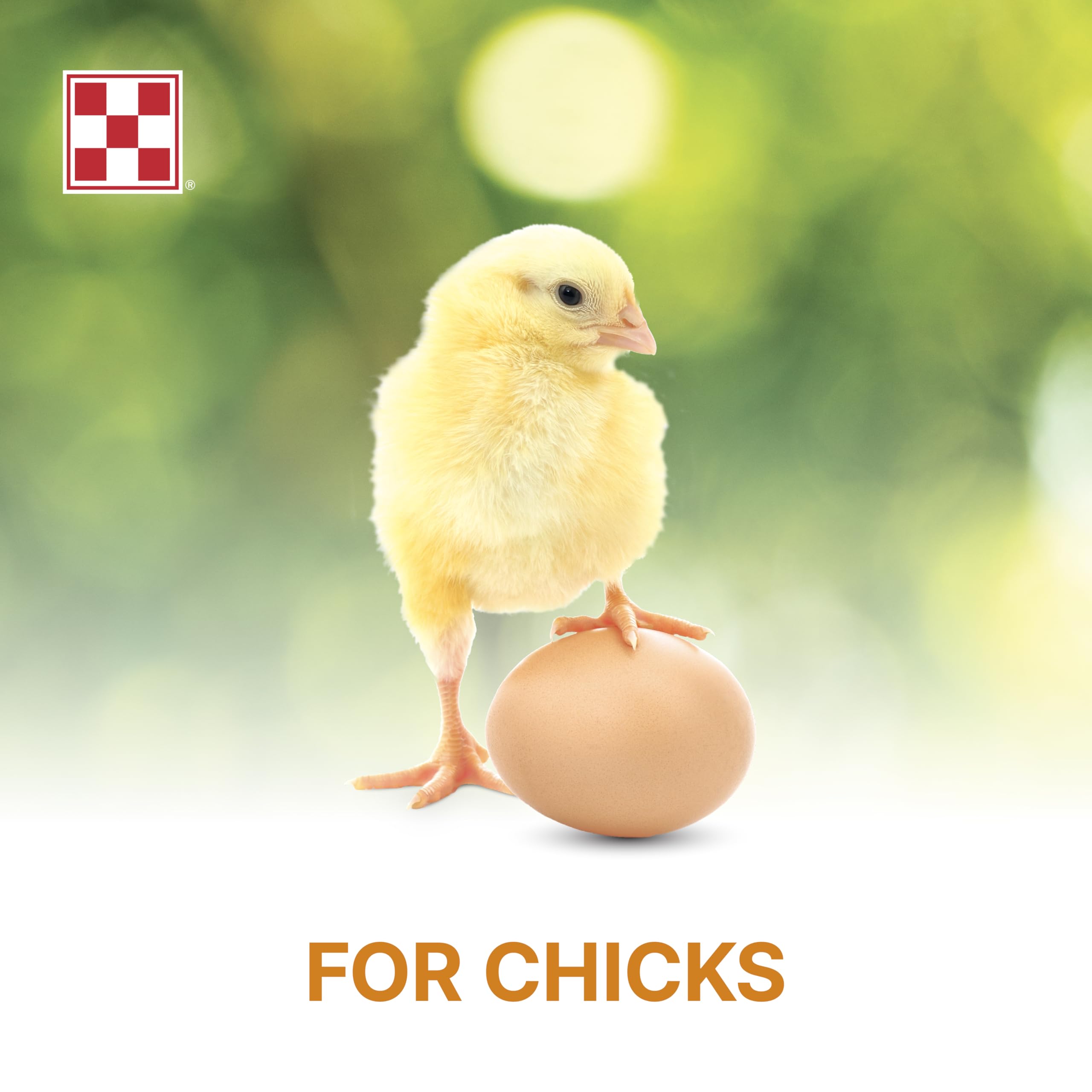 Purina Start and Grow in bowl illustrating versatile nutritious crumble for young birds.