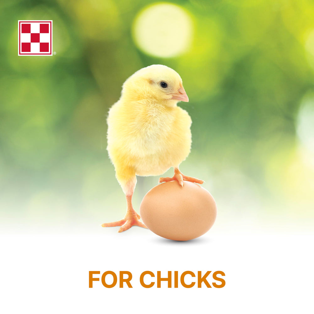 Purina Start and Grow in bowl illustrating versatile nutritious crumble for young birds.
