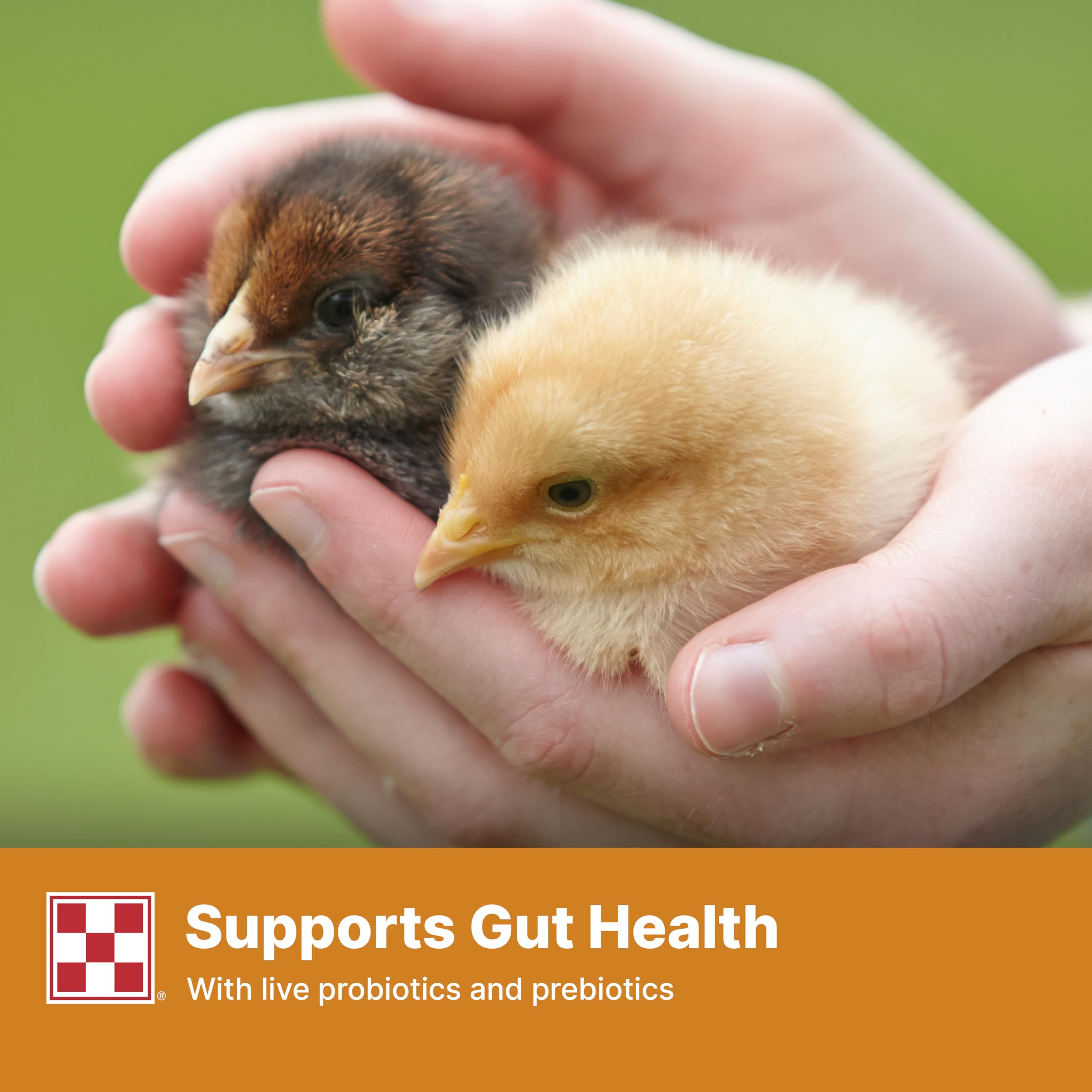 Purina Start and Grow nutrition label and packaging reflecting fortified vitamins.