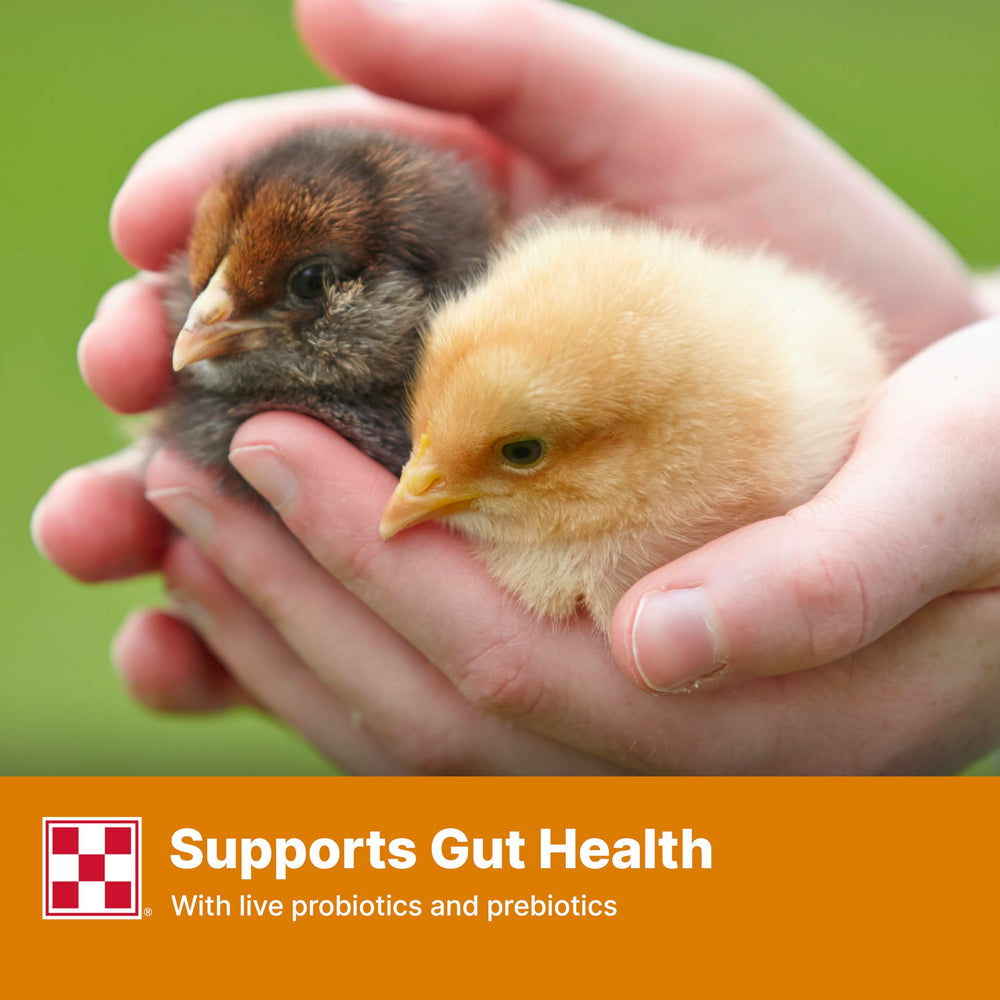Purina Start and Grow nutrition label and packaging reflecting fortified vitamins.