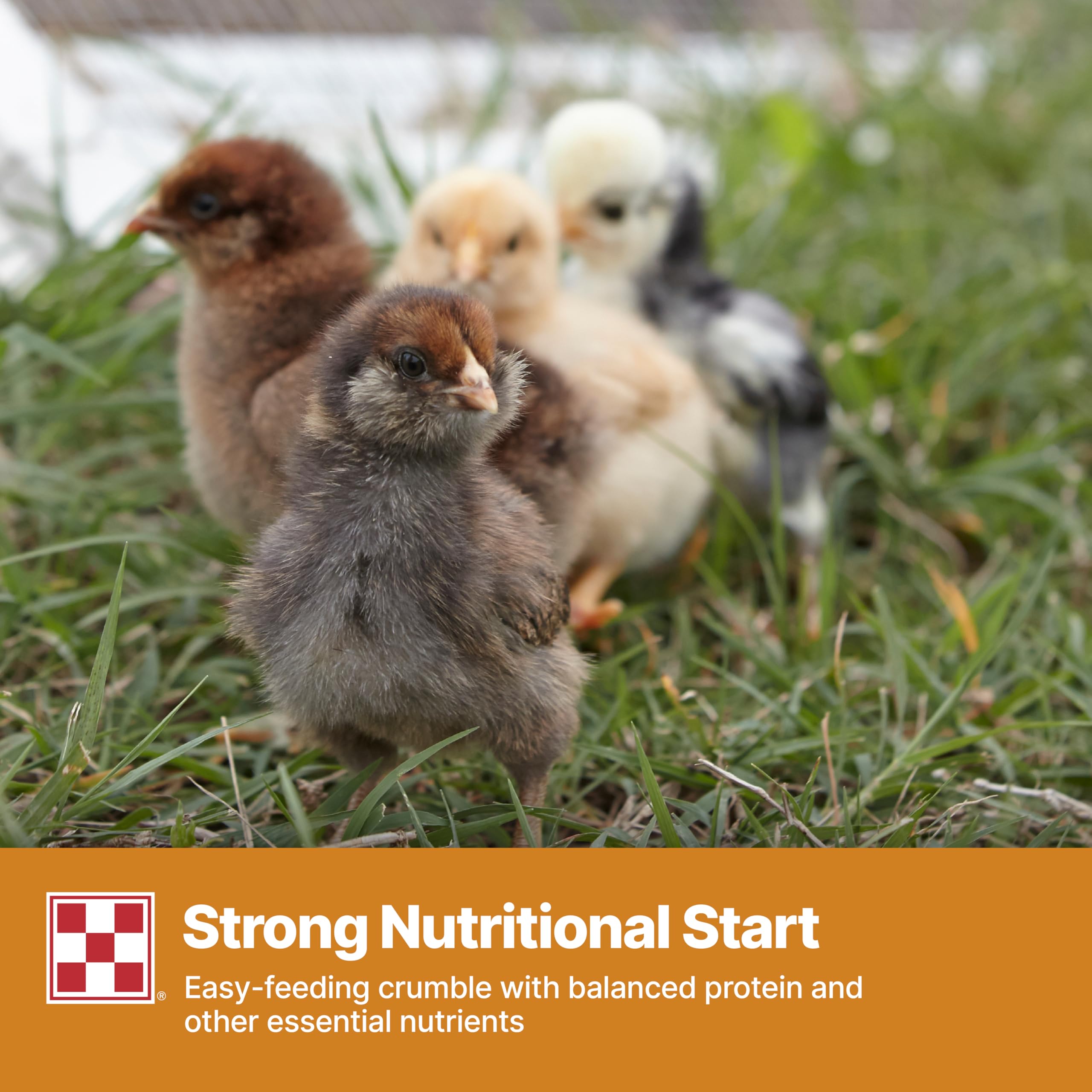 Purina Start and Grow packaging highlights vitamin fortification for healthy development.