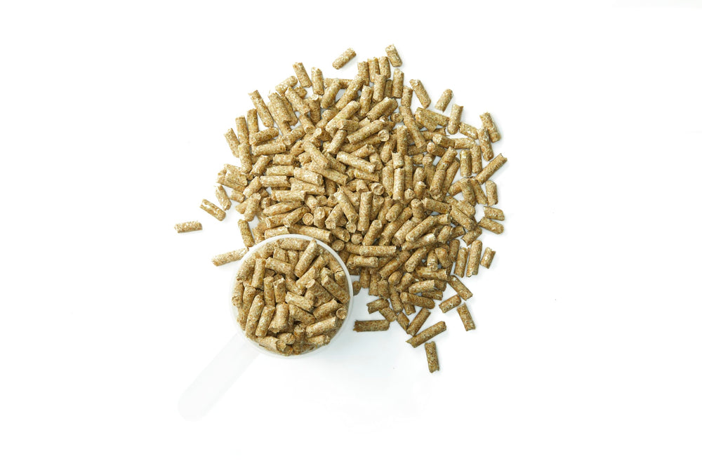 Purina Systemiq packaging on shelf signals daily probiotic support.