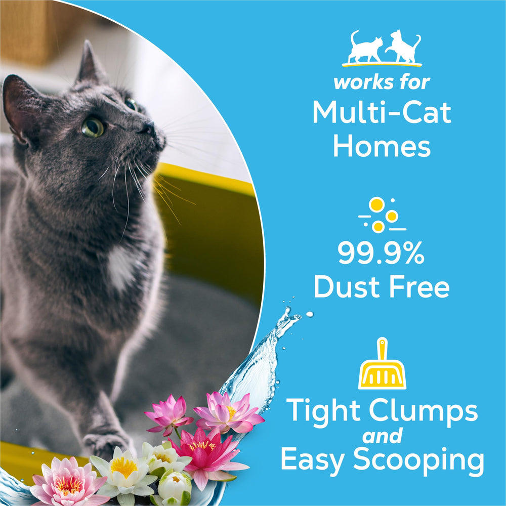 Tidy Cats clumping litter forms tight clumps for easy cleanup.