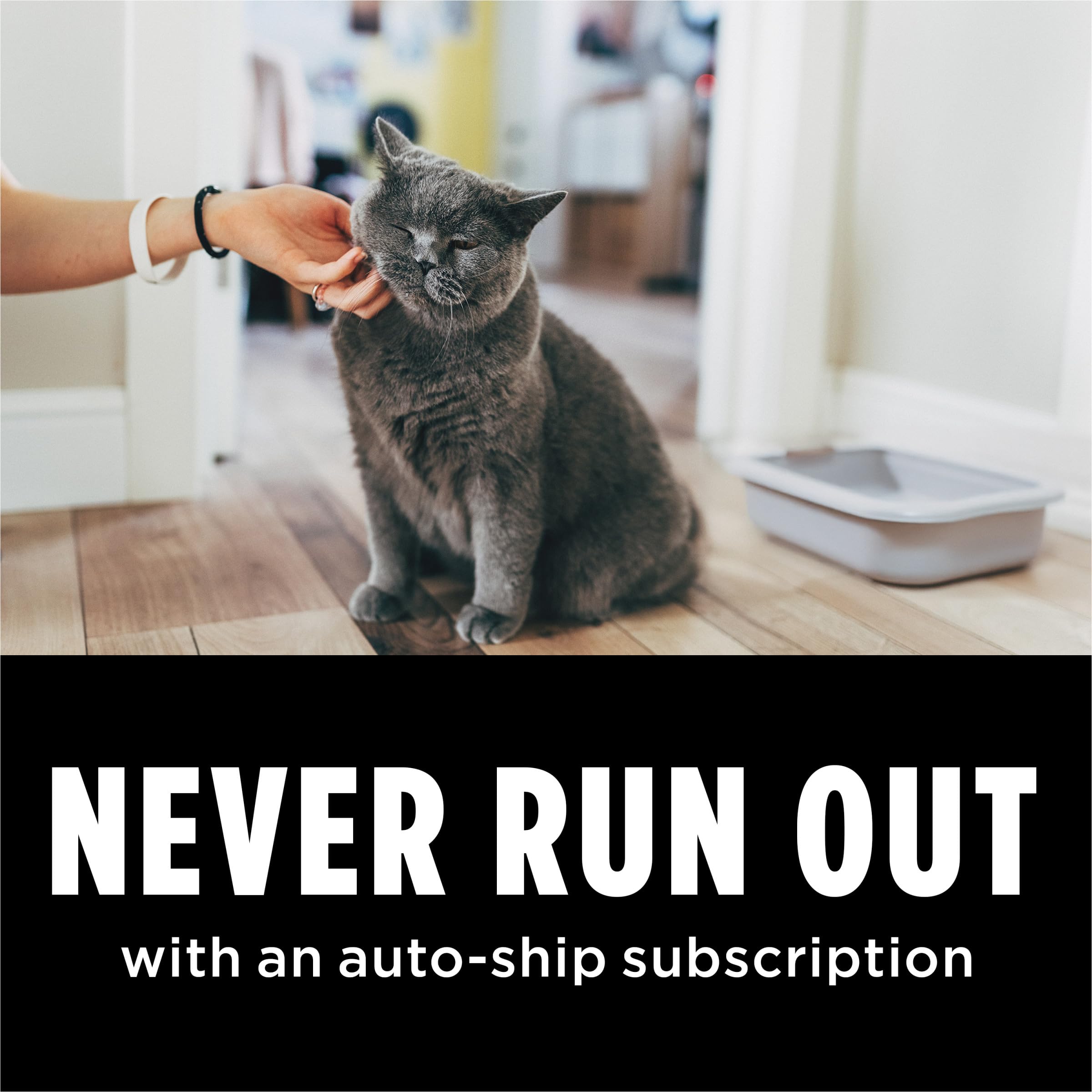 Purina Tidy Cats Performance Plus offers up to 30-day defense.