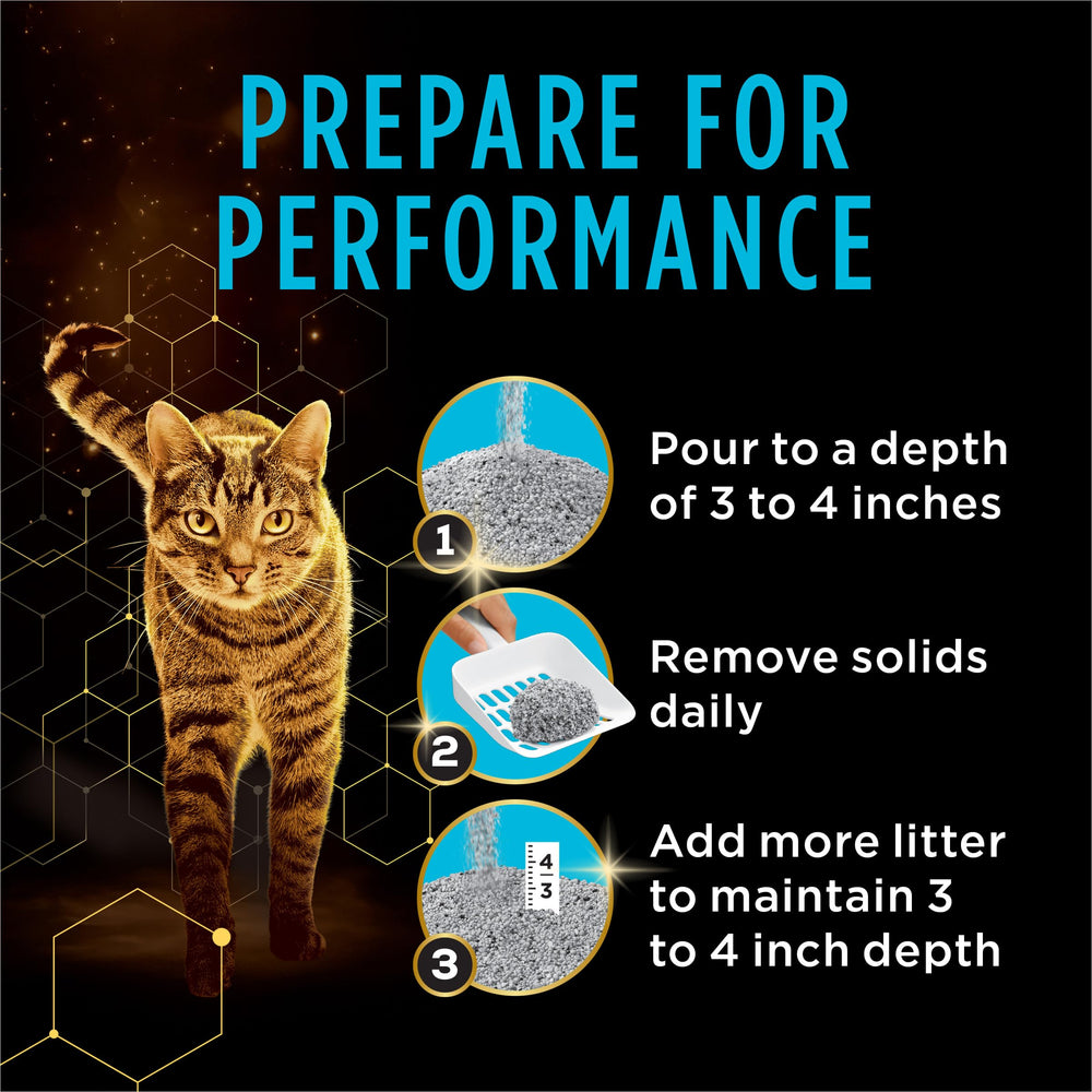 Purina Tidy Cats Performance Plus Power Clump ideal for multi-cat households.