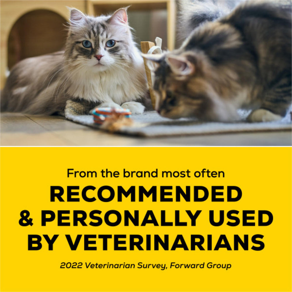 Purina Tidy Cats Performance Plus Tidy Feet box-side view highlighting scoopable clumping litter.