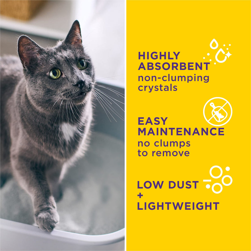 Long-lasting odor control from Purina Tidy Cats Tidy Care Alert crystals in use.