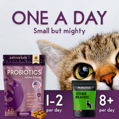 Purple Cat Feline Biome ingredient list highlights real chicken liver and organic ingredients.