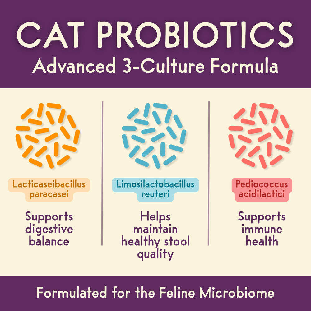 Purple Cat Feline Biome USA production emphasizes human-grade standards and safety.