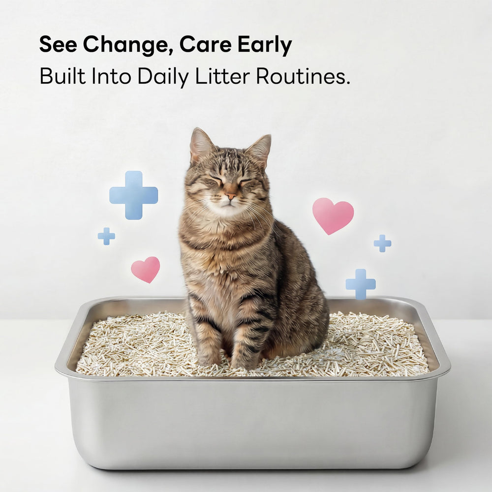 Purrify Smart Health Litter low dust reduces mess around the home