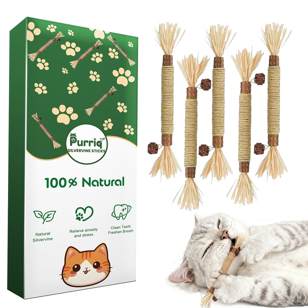 Purriq Silvervine dental stick wood for safe tooth-cleaning during calm indoor play.