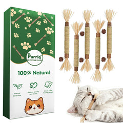 Purriq Silvervine dental stick wood for safe tooth-cleaning during calm indoor play.