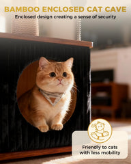 Purrlato soft top perch with removable cushion for cozy daytime naps.