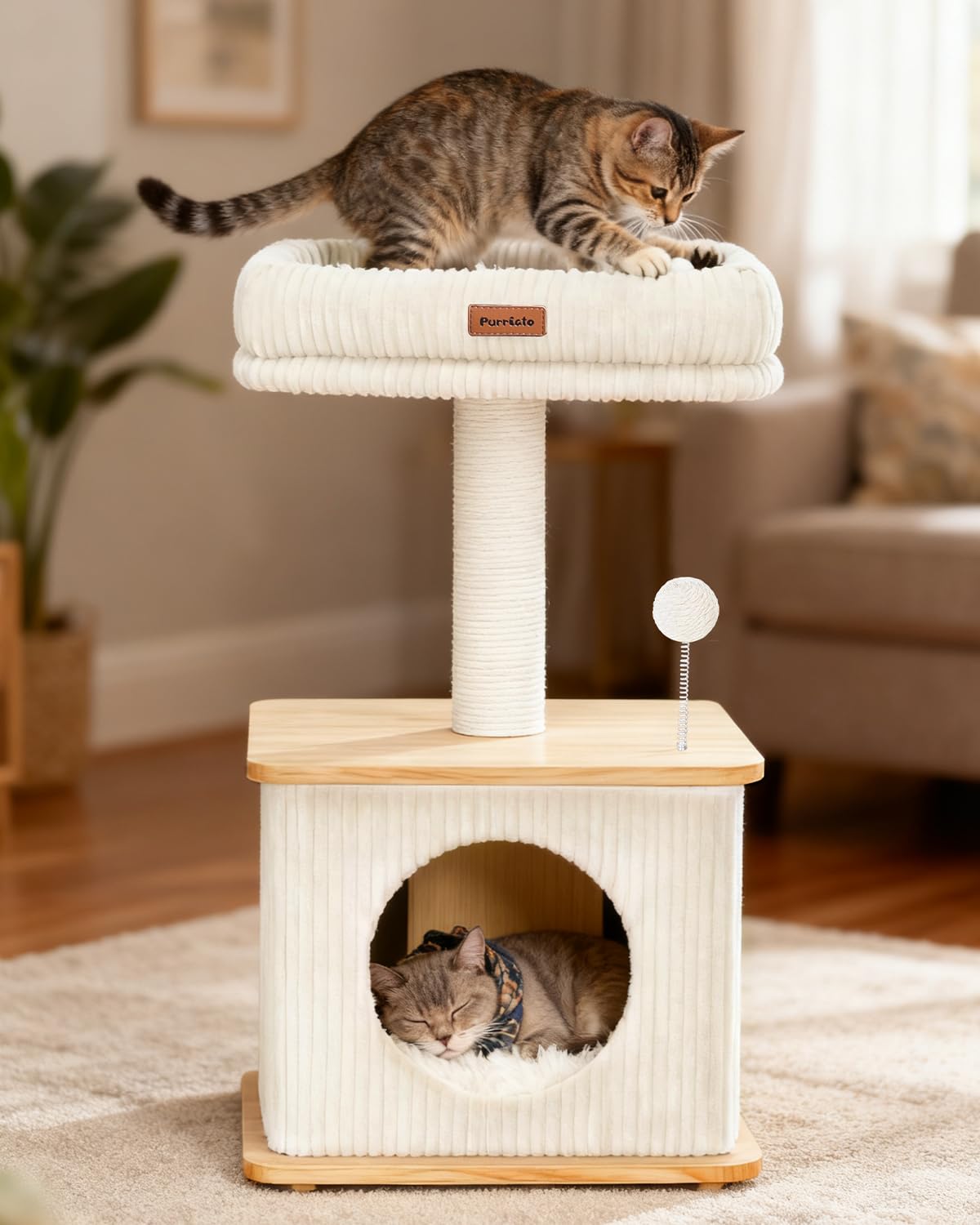 Purrlato kitten-friendly design promotes play, rest, and scratching routines.