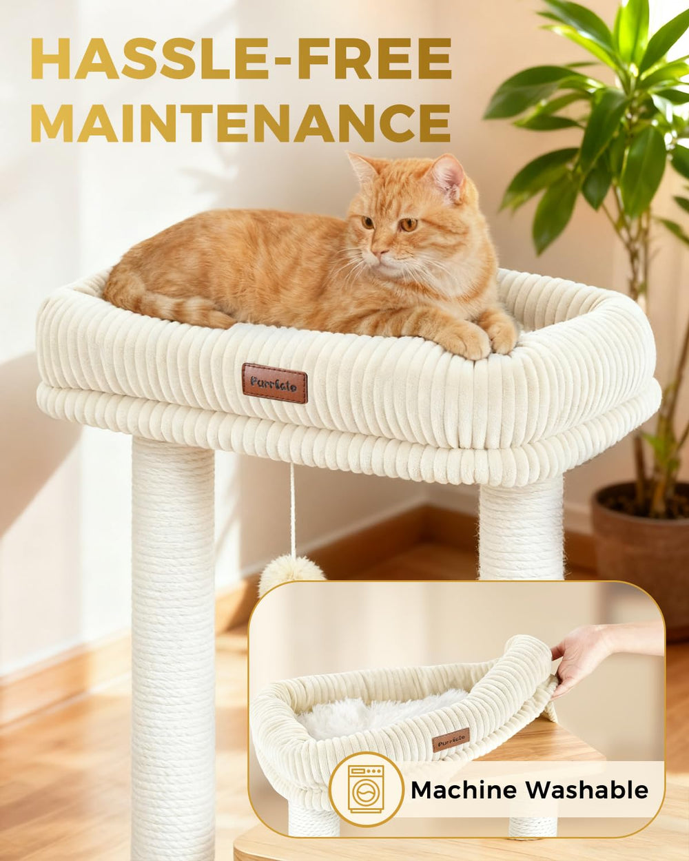 Purrlato entertainment center offers climbing hiding and play zones