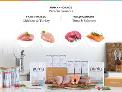 Purrly Wet Treat Broth Aroma closeup highlighting enticing scent for cats