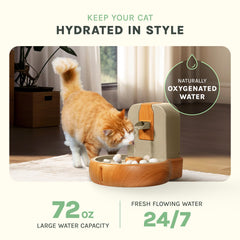 PURRVANA Zen design with Feng Shui cues promotes calm hydration.