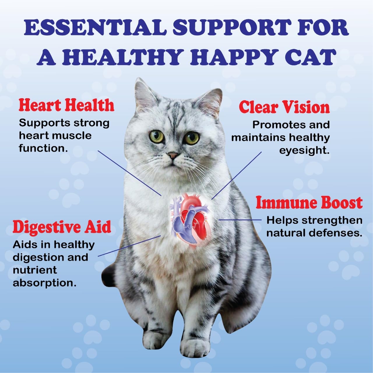 PurrVita Taurine for Cats spoon measures daily dose