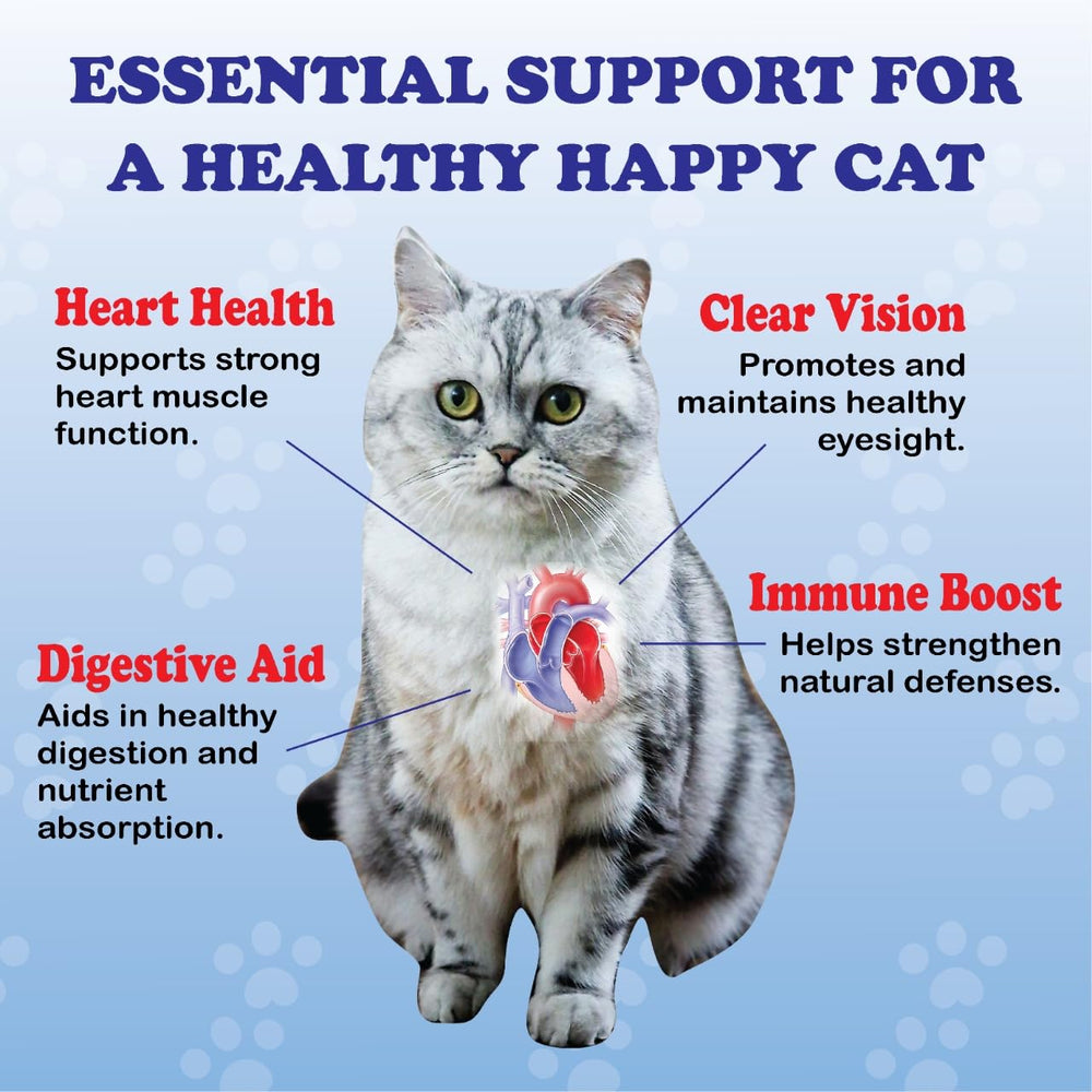 PurrVita Taurine for Cats spoon measures daily dose